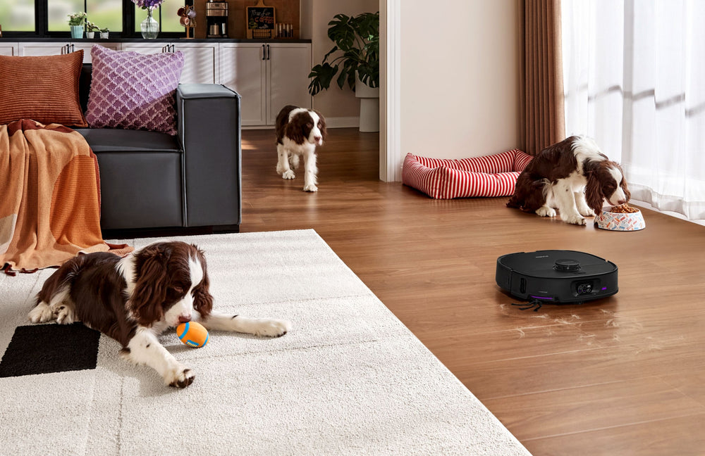 Eureka J-Series Robot Vacuums (2025): Easy Comparison & Buying Guide