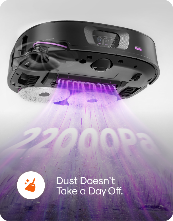 Dust Doesn't Take a Day Off.