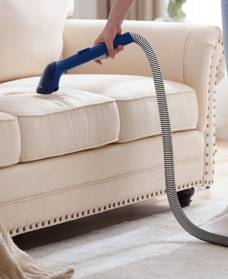 Eureka NEY100 Portable Carpet and Upholstery Cleaner