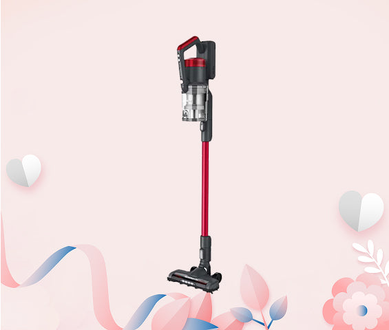 RapidClean Pro