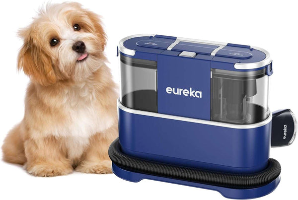 NEY100 Portable Carpet Cleaner