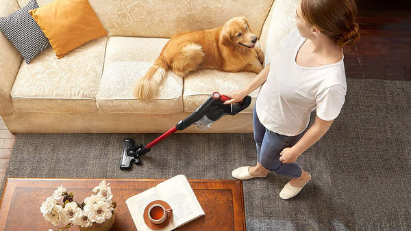 Eureka Lightweight Cordless Stick NEC101